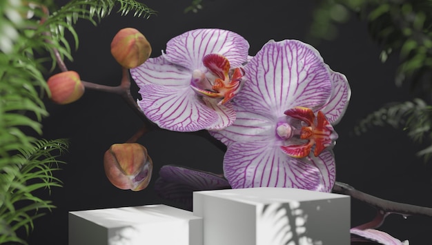 Black square stand for presentations of packaging and cosmetics with delicate orchid flowers in sun