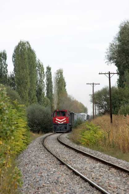 鉄道の黒い蒸気機関車