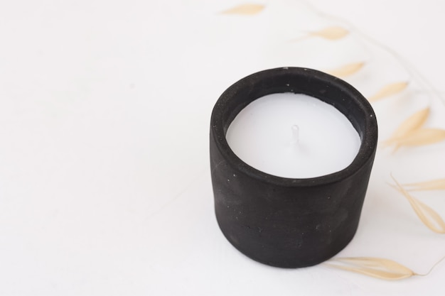 Piante decorative asciutte della candela di pietra nera su fondo bianco