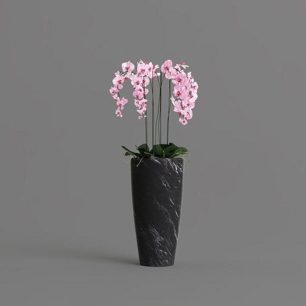 Black stone pot with phalaenopsis orchid isolated on light background