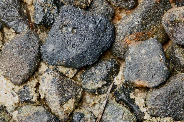 Black stone on wet sand