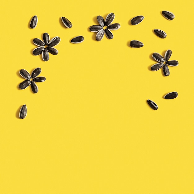 Black sunflower seeds as flower on bright yellow background Harvest time agriculture farming