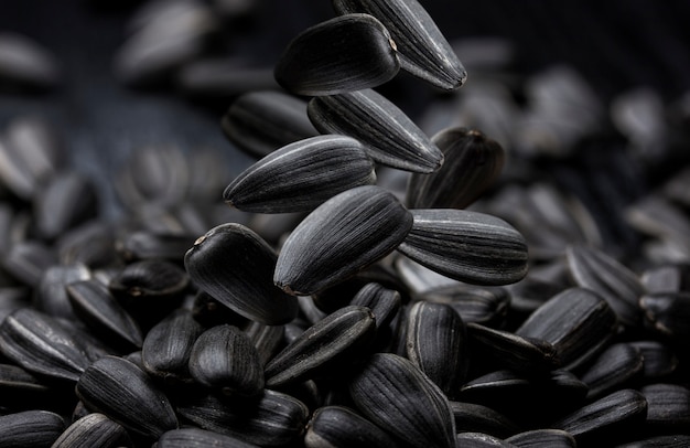 Photo black sunflower seeds close-up