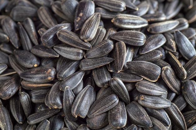 Black sunflower seeds