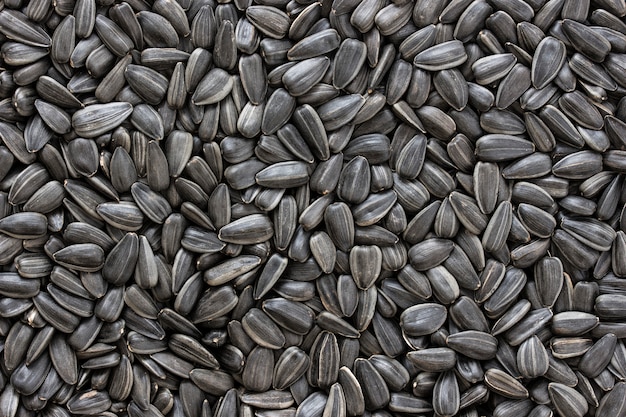 Black sunflower seeds