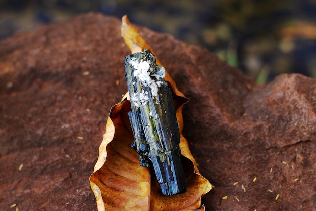 Black tourmaline stone over yellow dry leaf in natural environment