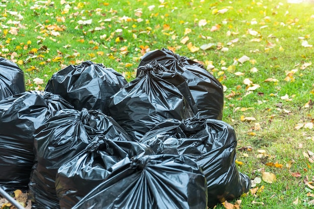 Black trash bags in the park in early autumn.