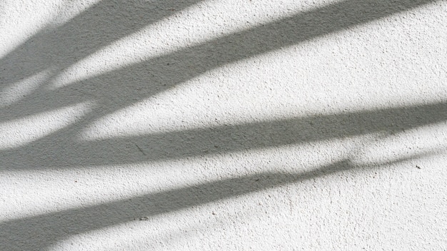 Black and White abstract background textuer of shadows leaf on a concrete wall