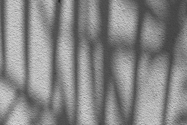 Black and White abstract background texture of shadows leaf on a concrete wall.