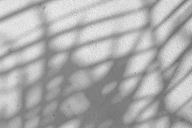 Black and White abstract texture of shadows leaf on a concrete wall.