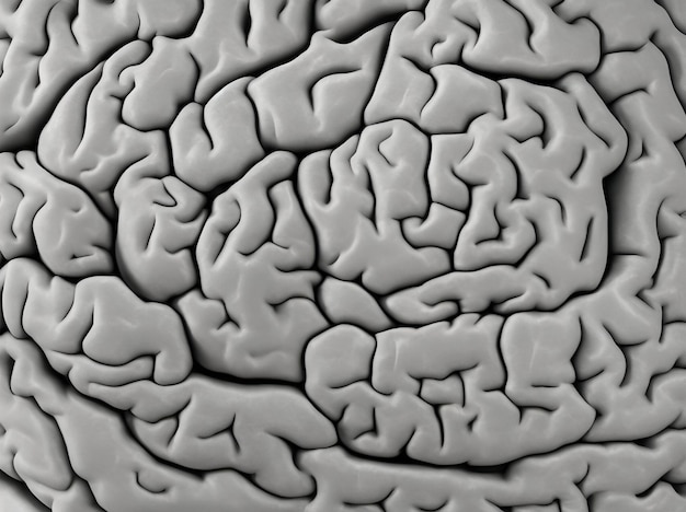 Photo black and white background of brain pattern