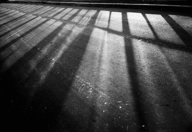 Black &amp; white beams on street asphalt background