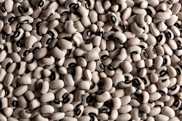 Photo black and white beans background. texture. selective focus.