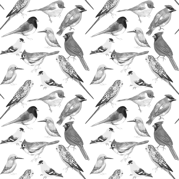 Черно-белые птицы на белом фоне бесшовные произведения искусства