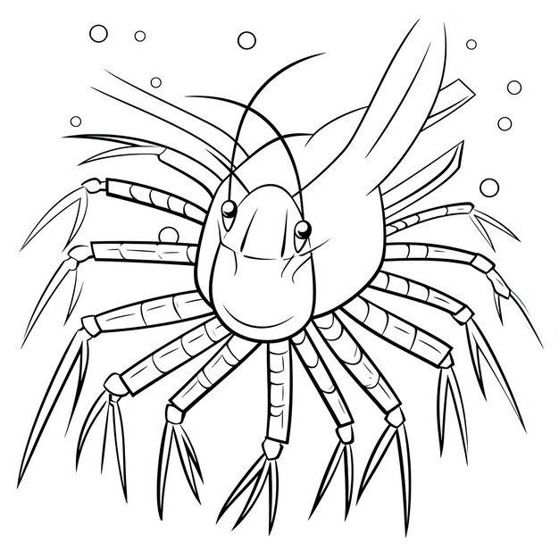 Photo black and white coloring picture of a antarctic krill