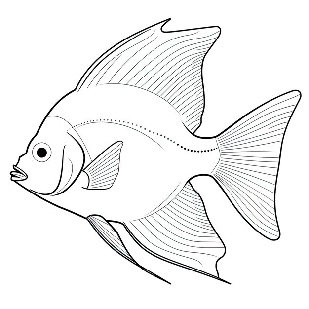 Photo black and white coloring picture of a batfish