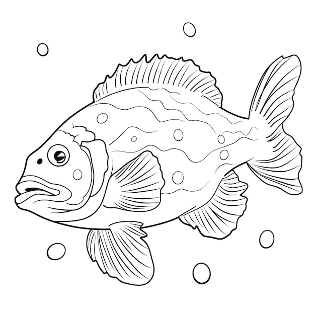 Photo black and white coloring picture of a groupers