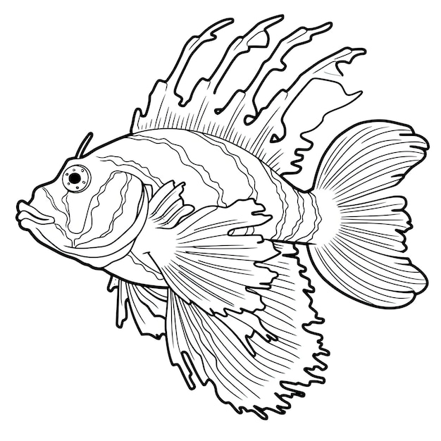 Photo black and white coloring picture of a scorpionfish