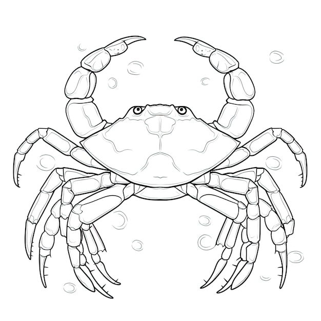 Black and white coloring picture of a spider crab