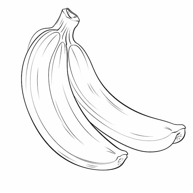 A black and white drawing of bananas with the top half of the stem.