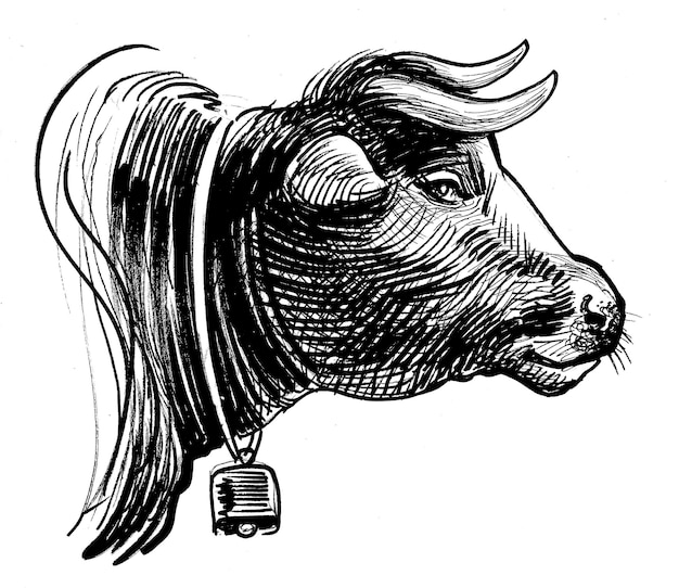 A black and white drawing of a bull with a bell on it.