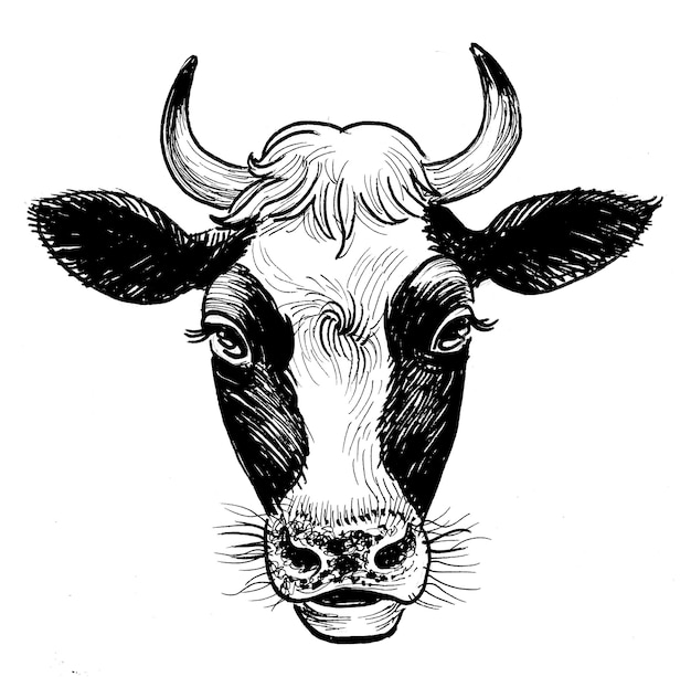 A black and white drawing of a cow's face with a black and white face.