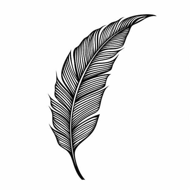 Photo a black and white drawing of a feather feather on a white background generative ai