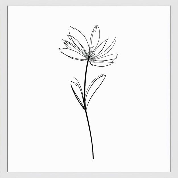 Foto un disegno in bianco e nero di un fiore su uno sfondo bianco