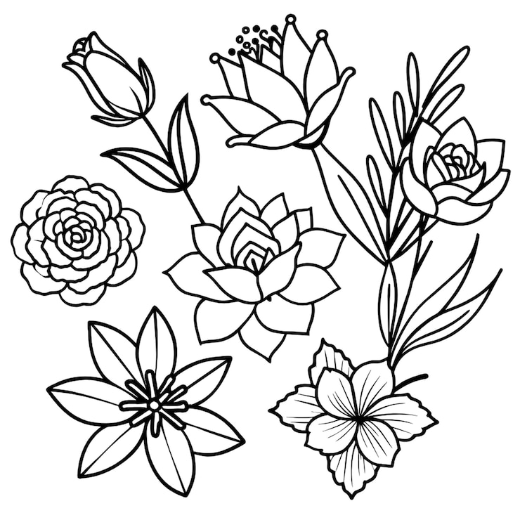 Photo 黒と白の花を描く 白い背景のカラーリング