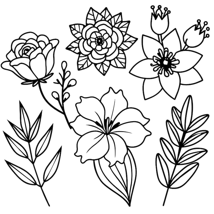 Photo 黒と白の花を描く 白い背景のカラーリング