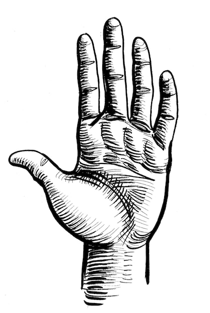 A black and white drawing of a hand with a thumb up.