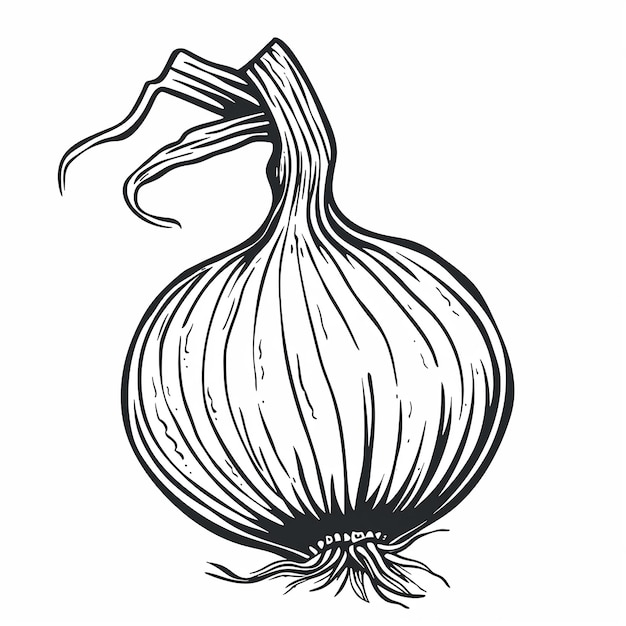 その上にリボンがついた洋<unk>の黒と白の絵
