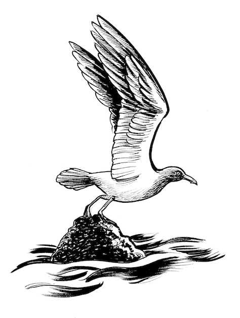 A black and white drawing of a seagull with the word seagull on it.