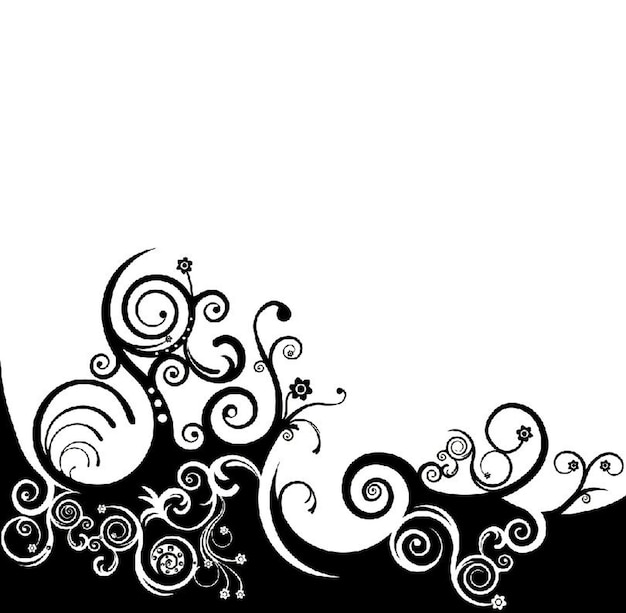 黒と白の花の巻き