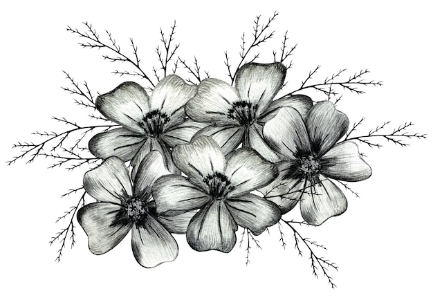 Black and White Hand Drawn Marigold Flower Composition