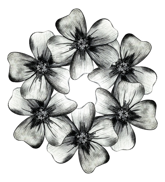 Black and White Hand Drawn Marigold Flower Round Composition