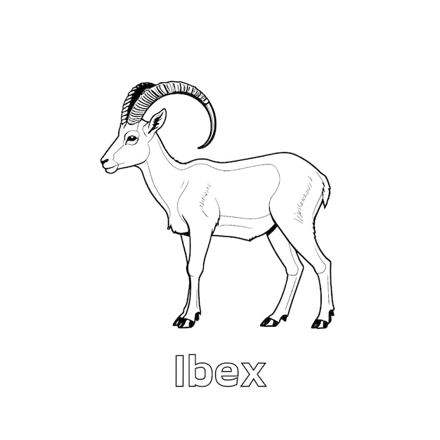 Foto arte in linea di ibex bianco e nero