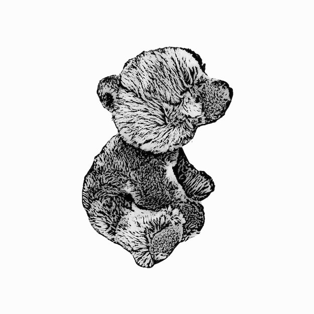 Черно-белый иллюстрационный эскиз медведя, сидящего на белом фоне