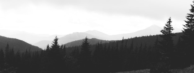 Black and white image of mountains