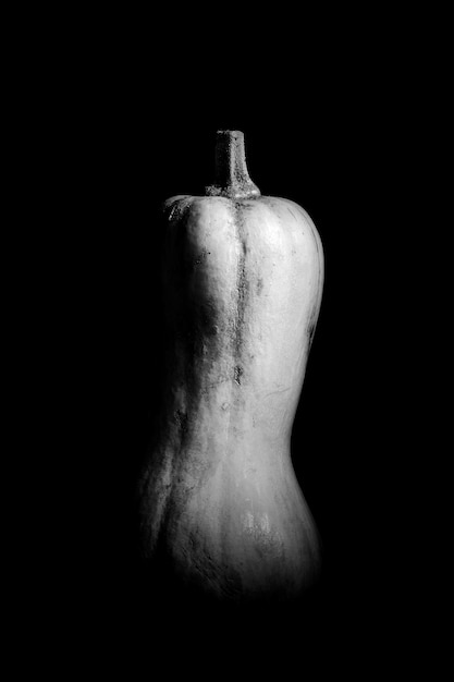 Black and white image of a pumpkin