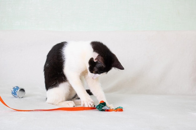 Black and white kitten playing with a rope