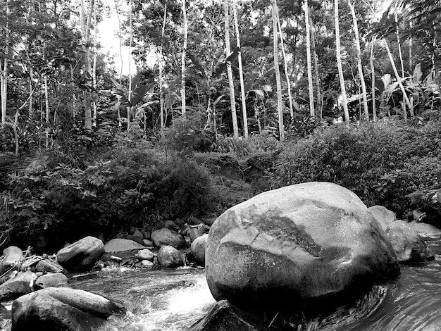 Black white landscape of stones in the river