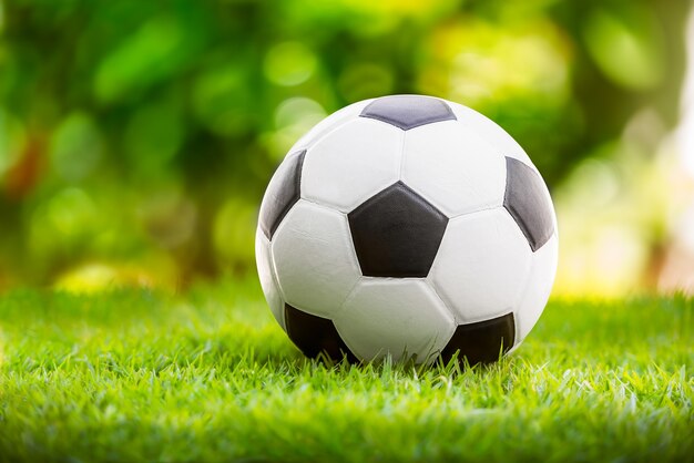 Black and white leather soccer ball on green grass