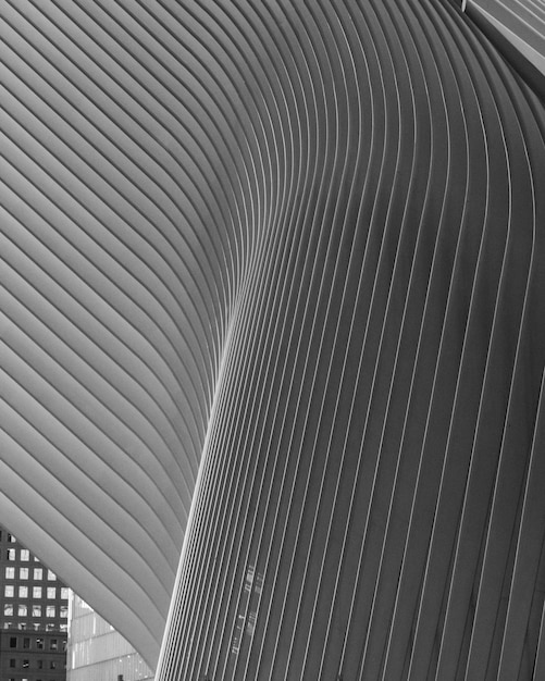 Черно-белые линии и формы, созданные крышей Oculus в нижнем Манхэттене, Нью-Йорк.