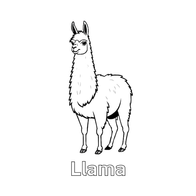 black and white llama line art