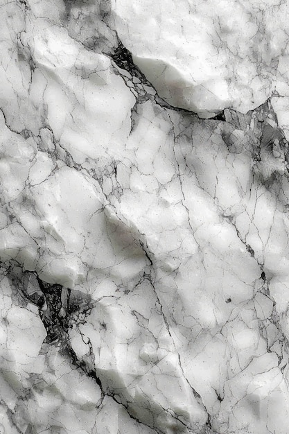 Photo black and white marble texture background