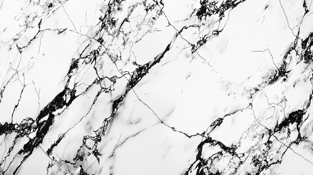 a black and white marble with a white background