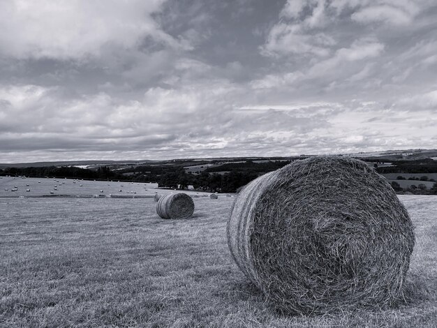 Black and white monochrome hay bales