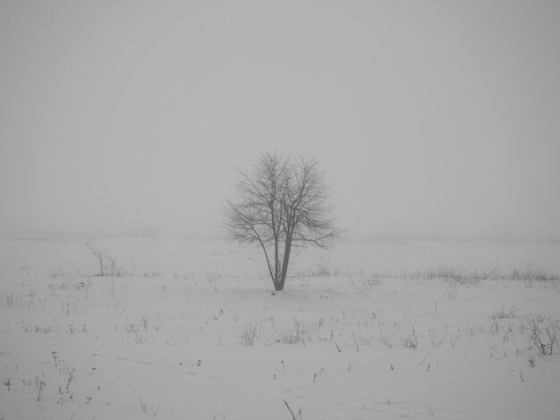 白黒モノクロ写真