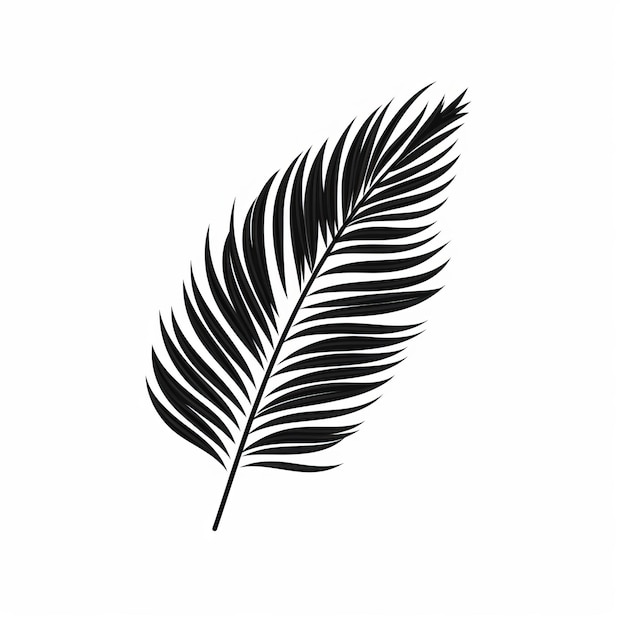 Black And White Palm Leaf Vector Illustration